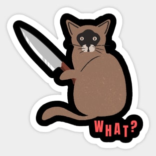 What? Murderous Cat Funny Design for Cat Lovers Sticker